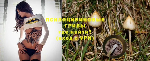 mix Алексеевка